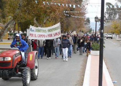 منتج يتجول بين صفوف الكروم في شرق Mendoza